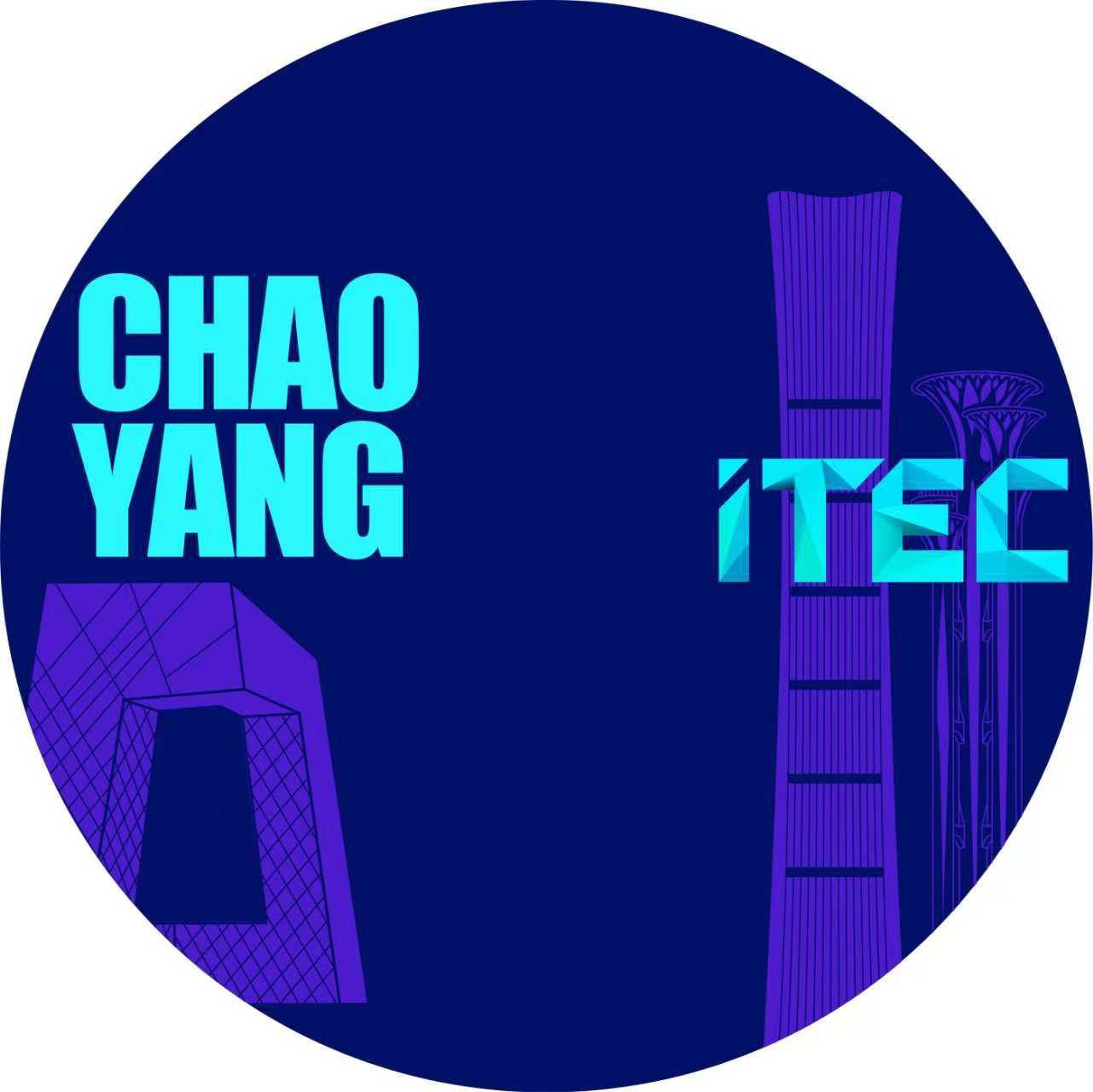 ITEC 颁奖典礼 · 京港联动 AI 徽章 - 图 4